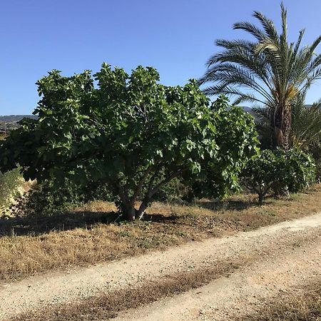 Pervolaris Cottages 1 Γουδί Εξωτερικό φωτογραφία