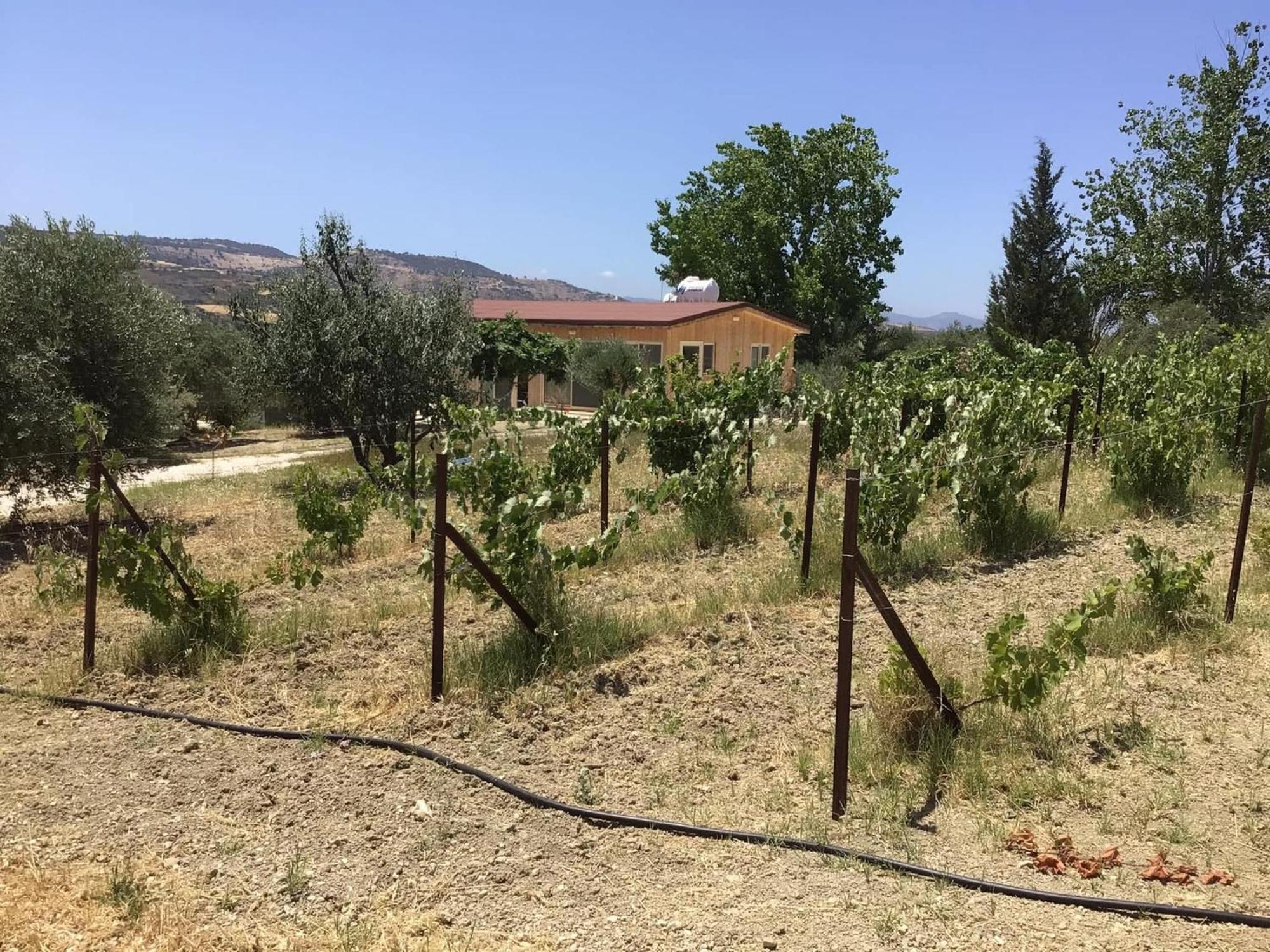 Pervolaris Cottages 1 Γουδί Εξωτερικό φωτογραφία