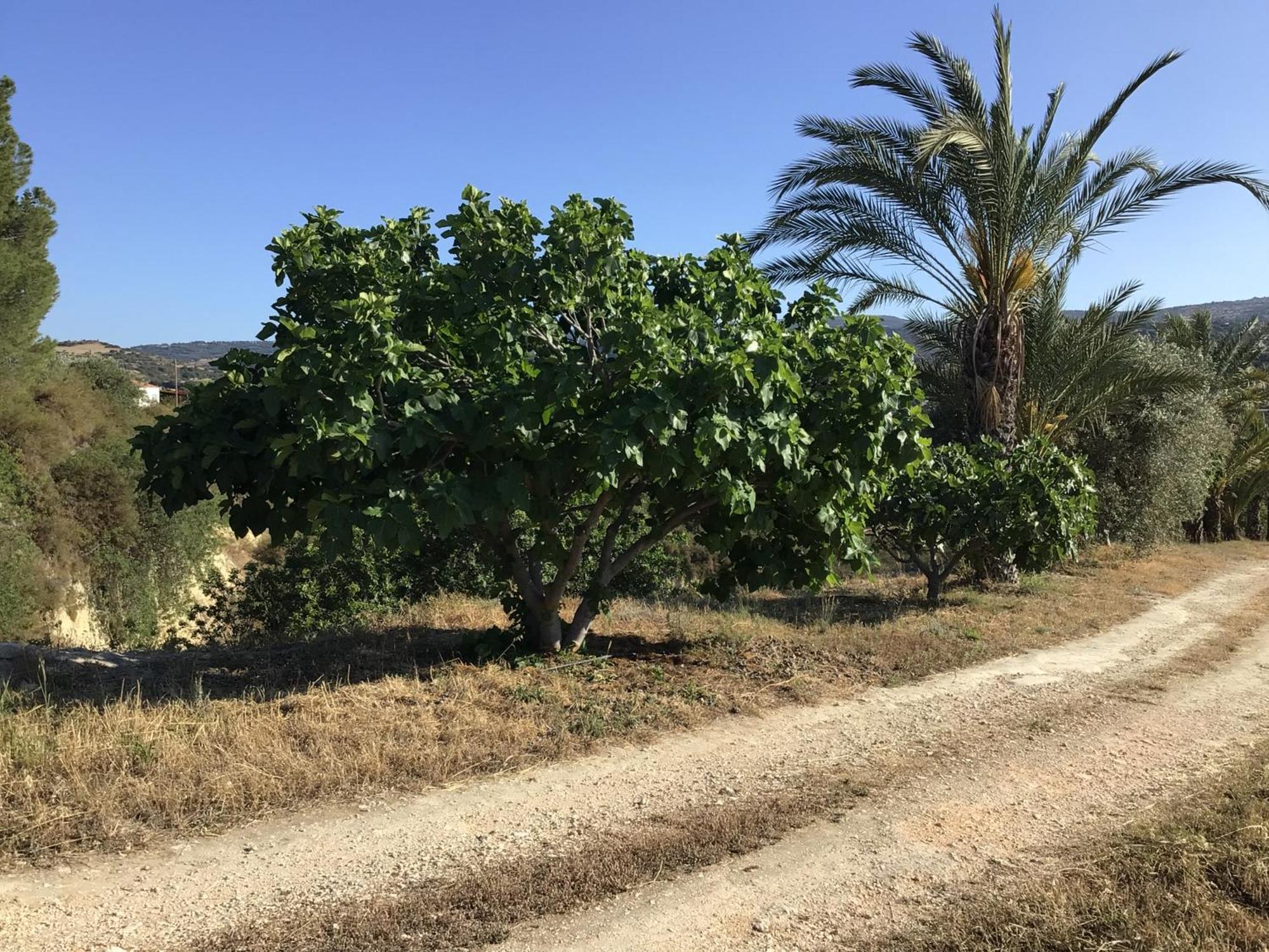 Pervolaris Cottages 1 Γουδί Εξωτερικό φωτογραφία