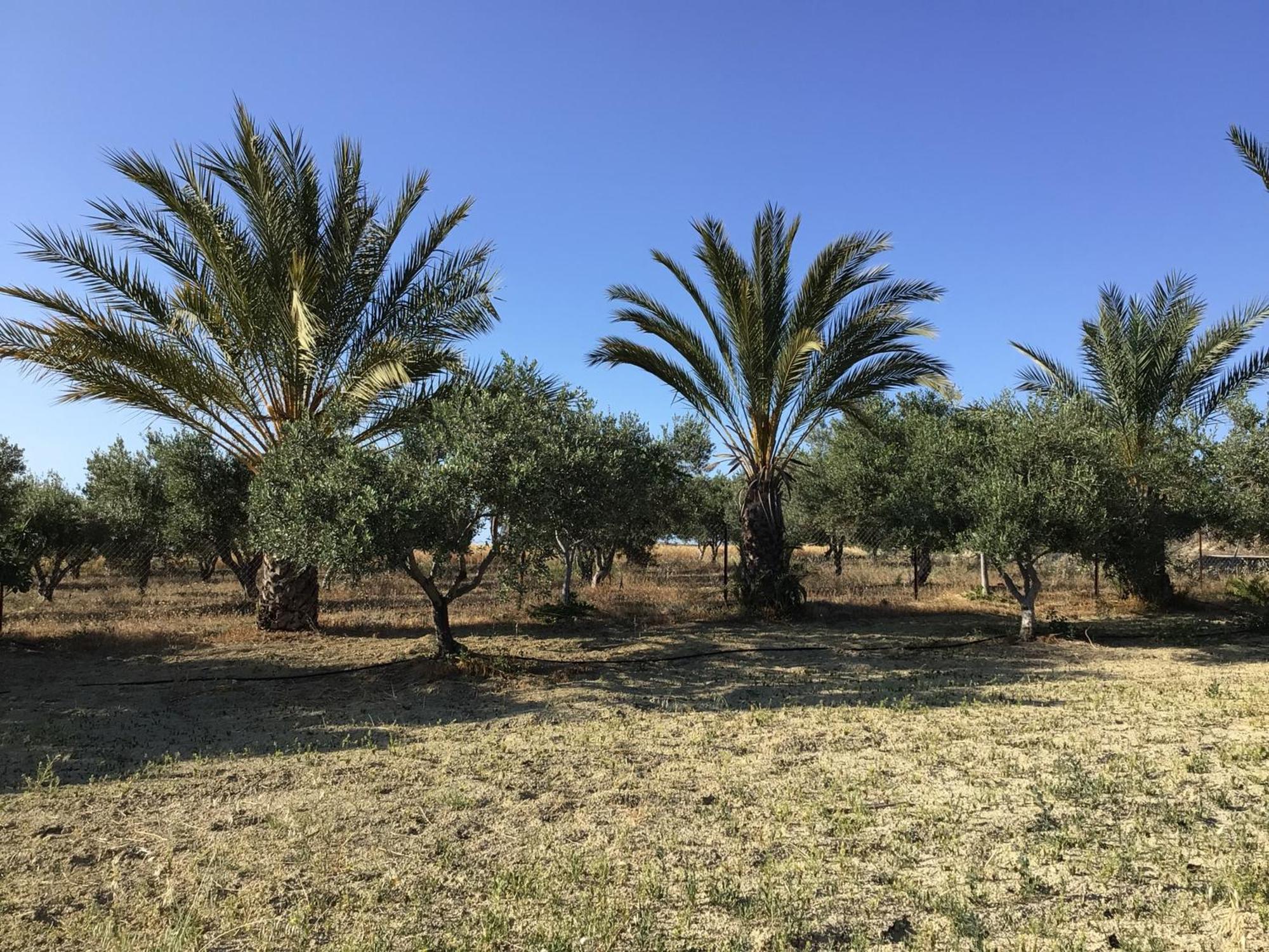 Pervolaris Cottages 1 Γουδί Εξωτερικό φωτογραφία