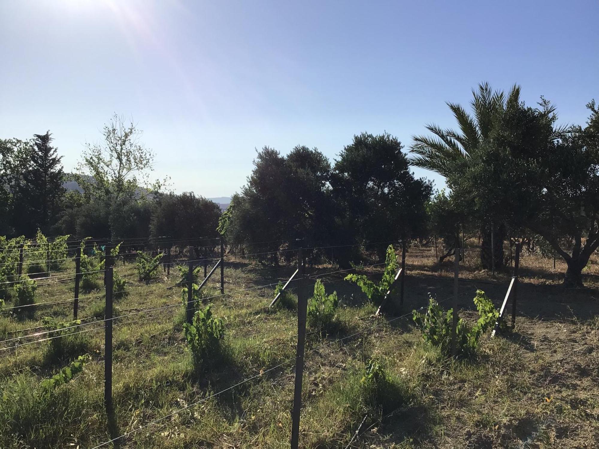 Pervolaris Cottages 1 Γουδί Εξωτερικό φωτογραφία