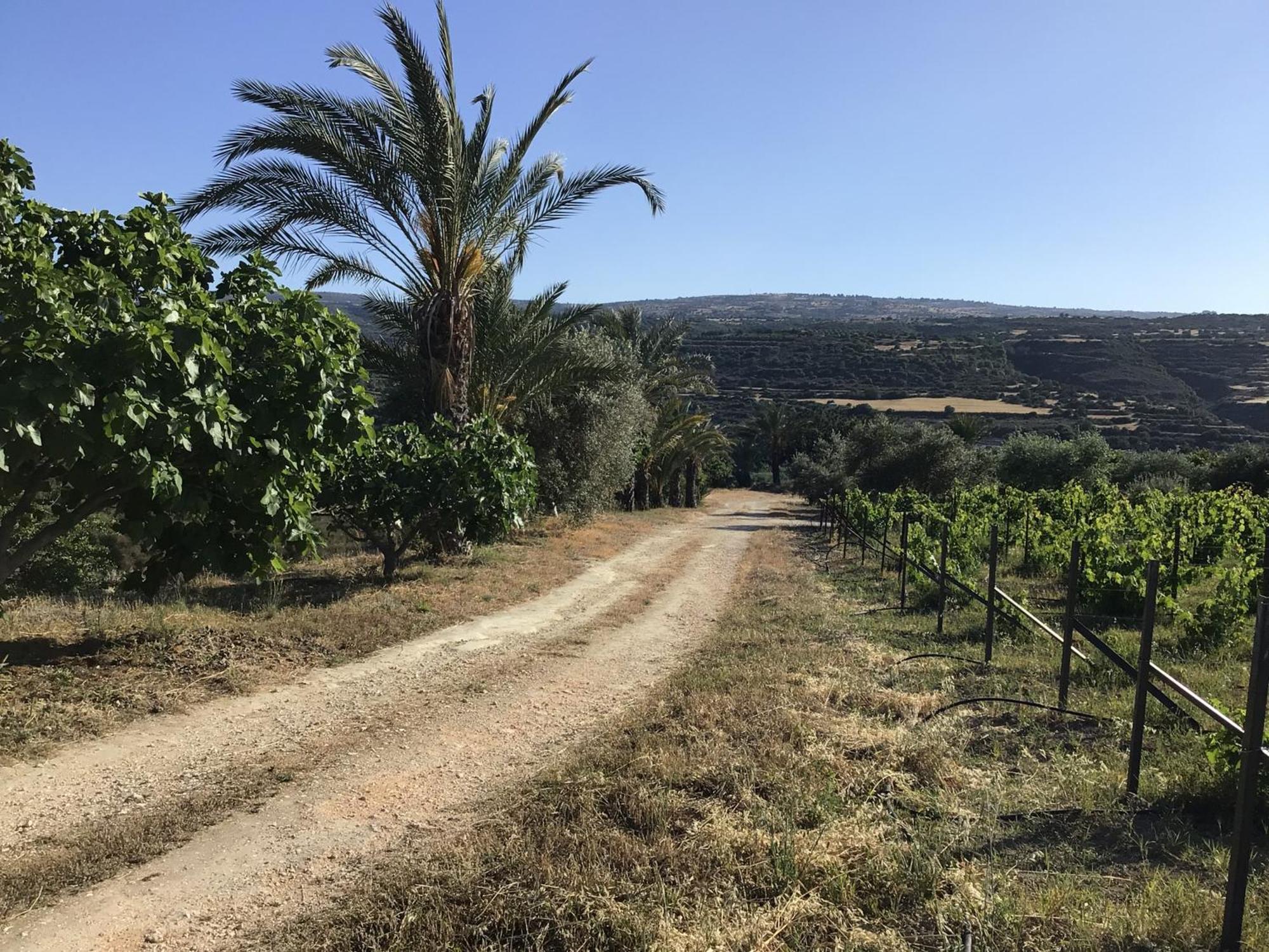Pervolaris Cottages 1 Γουδί Εξωτερικό φωτογραφία