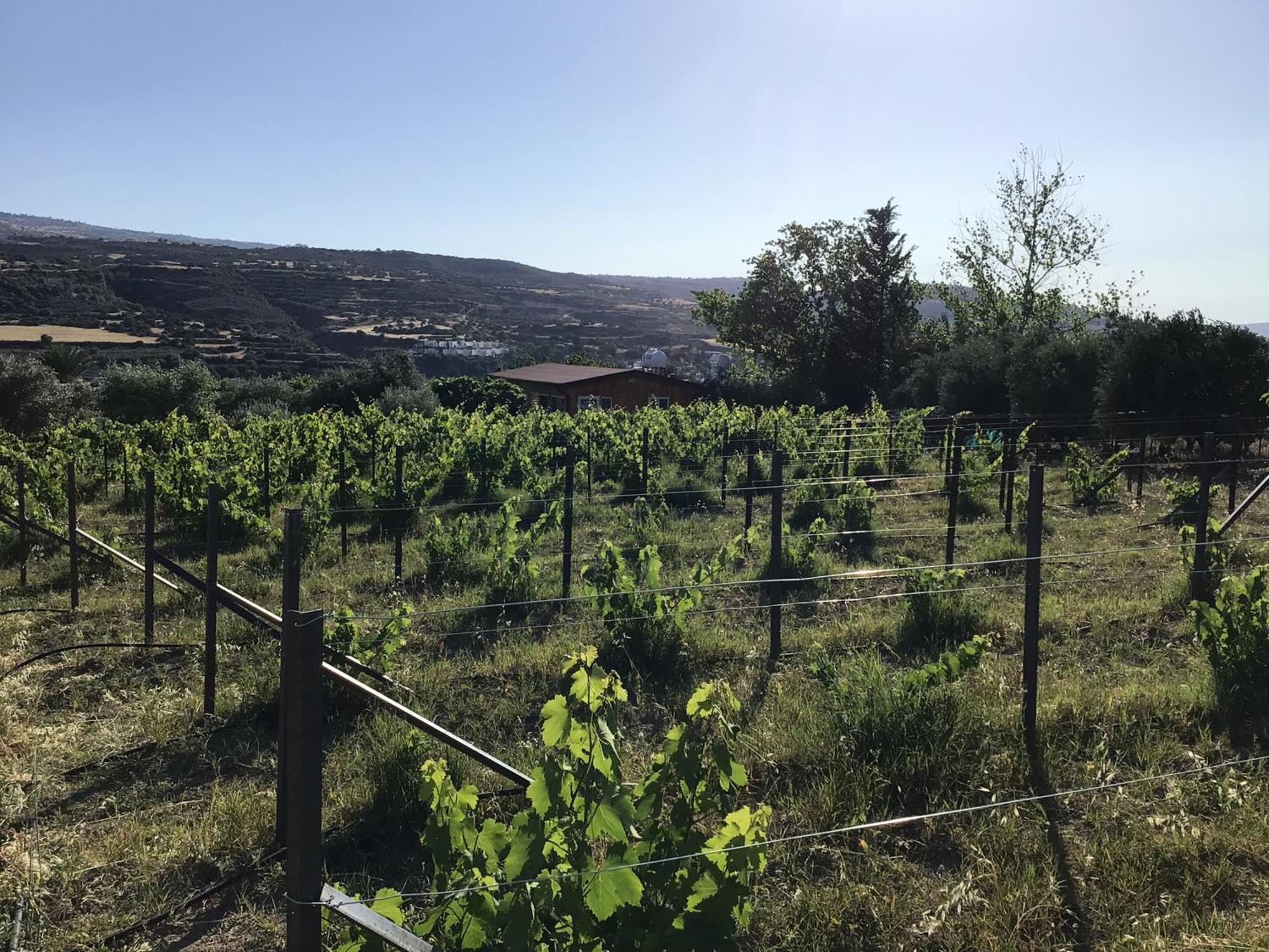 Pervolaris Cottages 1 Γουδί Εξωτερικό φωτογραφία