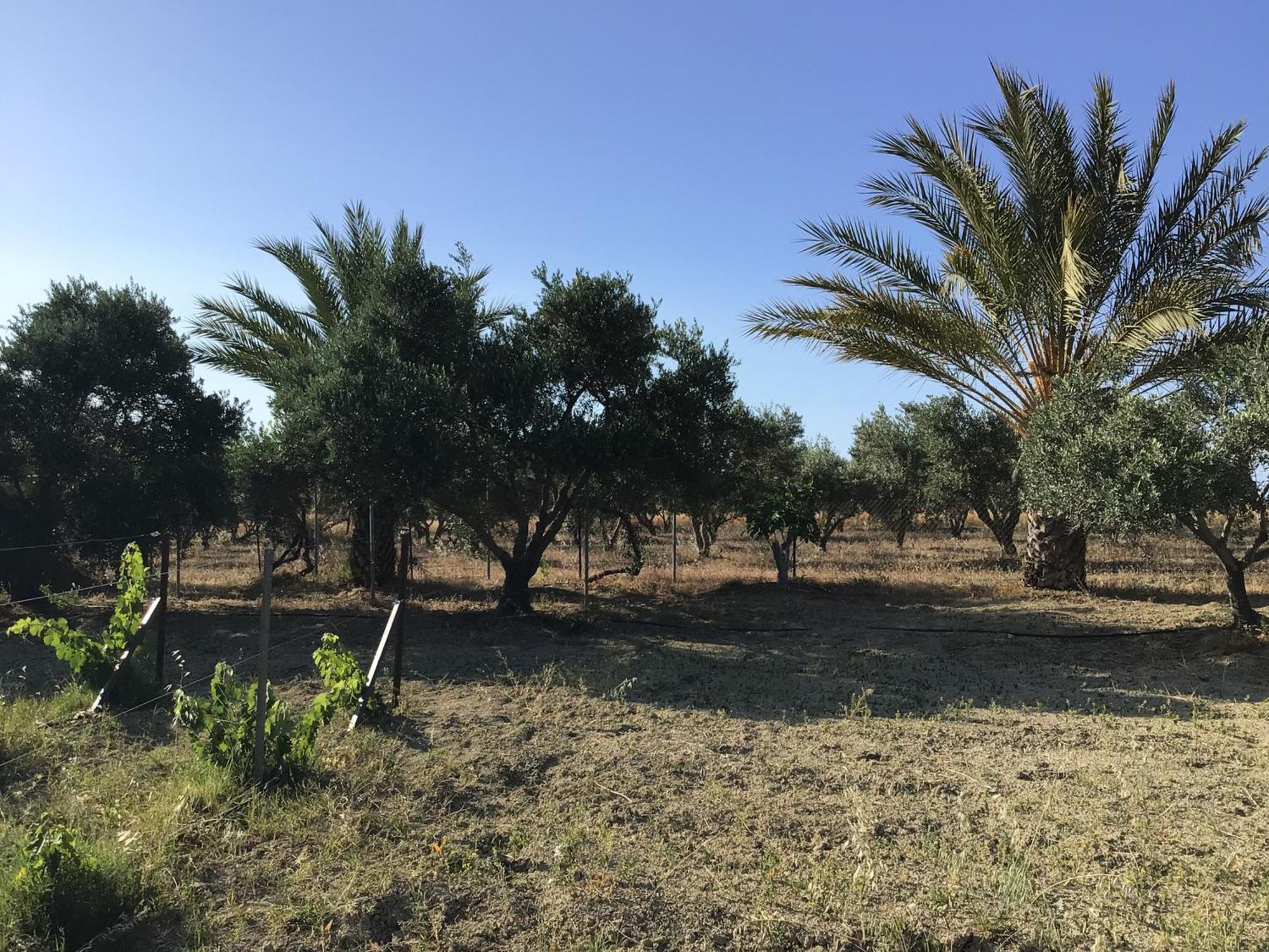 Pervolaris Cottages 1 Γουδί Εξωτερικό φωτογραφία